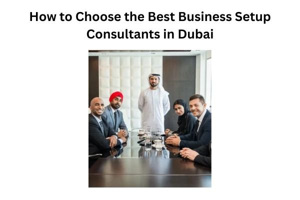How to Choose the Best Business Setup Consultants in Dubai